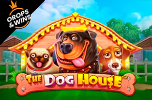 The Dog House 1Win